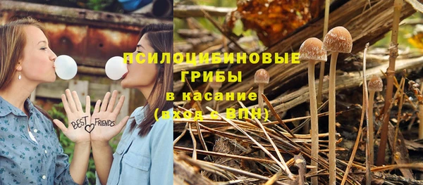 прущие грибы Бугульма