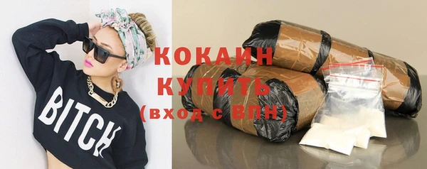 спайс Бородино