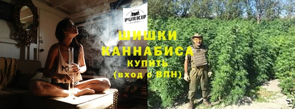 мдпв Бронницы
