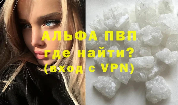 спайс Бородино