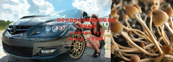 мдпв Бронницы