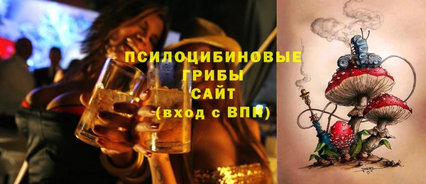 прущие грибы Бугульма