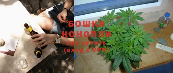 спайс Бородино