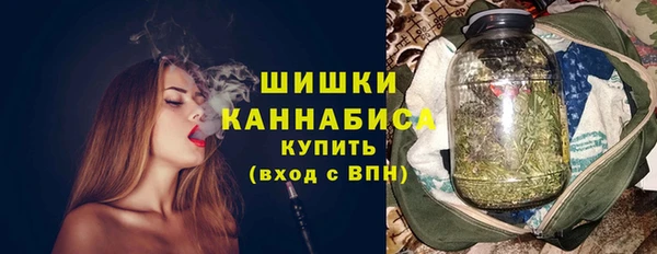 мдпв Бронницы